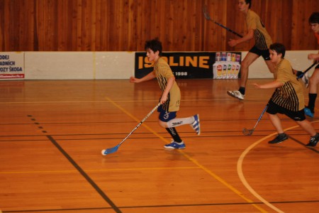 VÝSLEDKY MLÁDEŽE 2012/2013